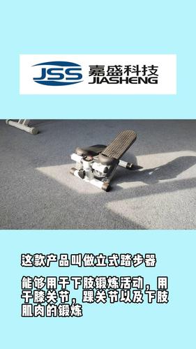 立式踏步機(jī)